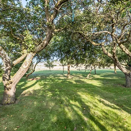 6 Bedroom Beautiful In *