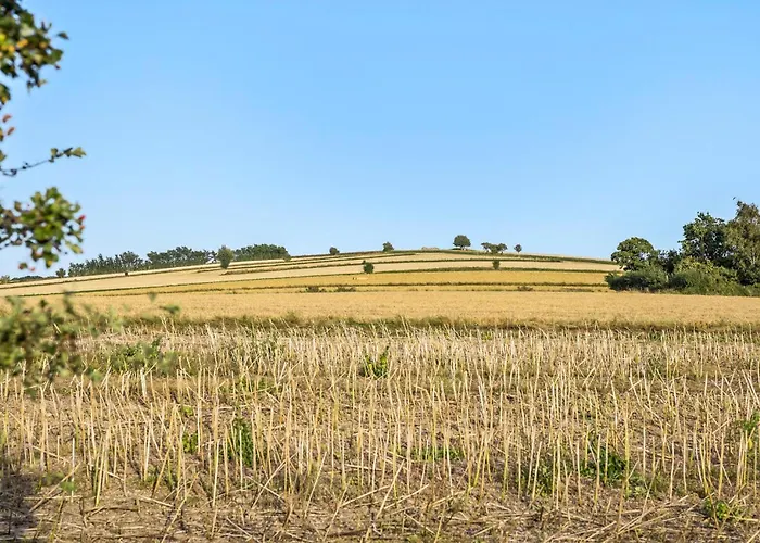 6 Bedroom Beautiful In *